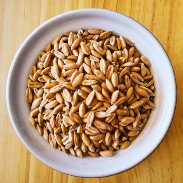 spelt-grain-kernels-berries-whole