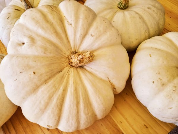 organic-wit-boer-pampoen