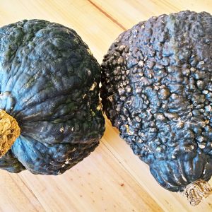 organic-hubbard-squash-pumpkin