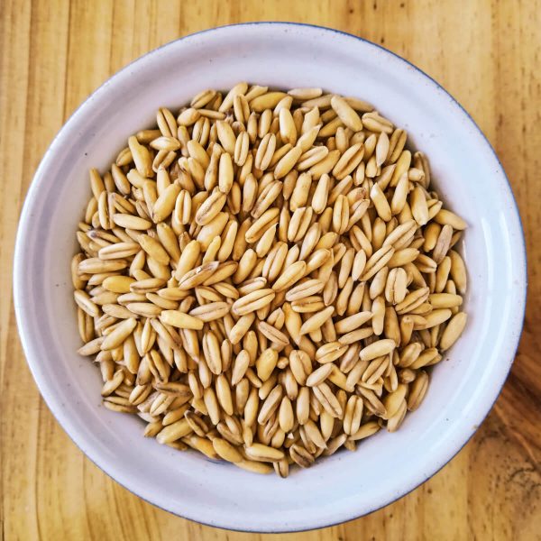 Oat-Groats-Dehulled