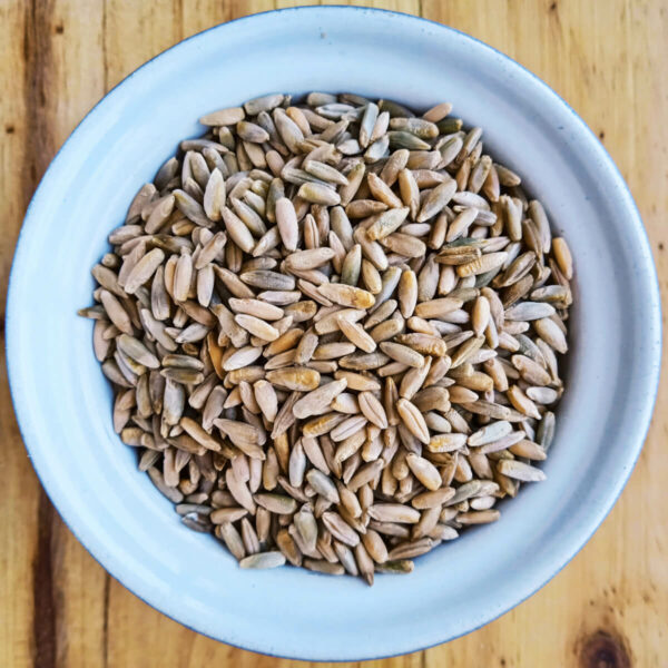 rye-grain-kernels-berries-new
