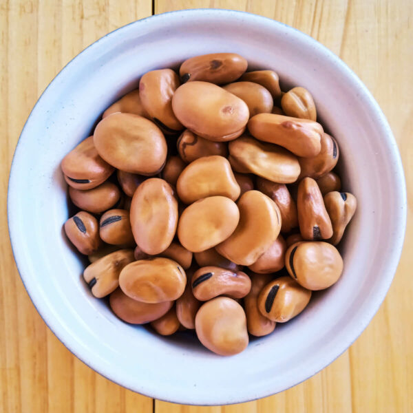 fava faba broad beans