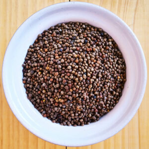 sprouting broccoli seed