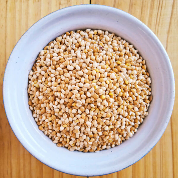 whole millet