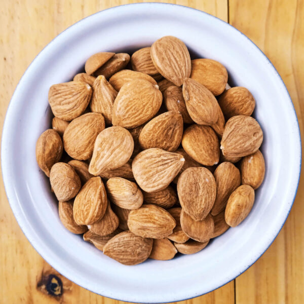 Raw Apricot Kernels Seeds